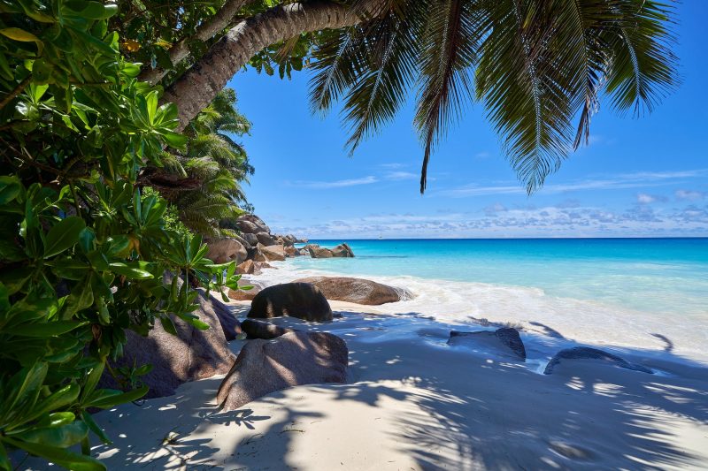 Non-stop flights from Frankfurt to exotic Seychelles from €499